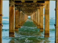 Horace Caldwell Pier