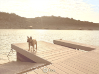 Peaceful Lake Morning