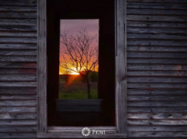 Sunrise Through the Windows