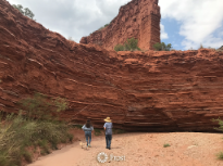 Walking Trail