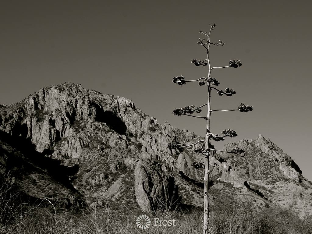 Big Bend