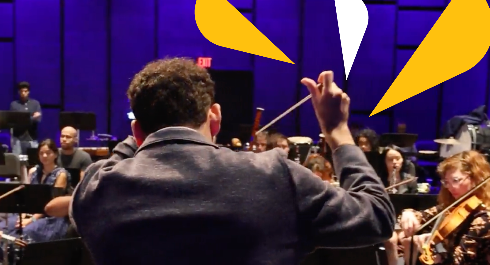 Image of orchestra