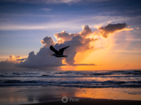 Sunrise at SPI Beach