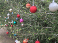 Trail of Ornaments