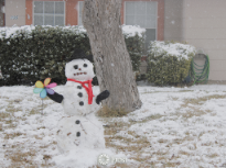 Texas Snow Man 