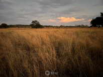 Dusk At the Ranch