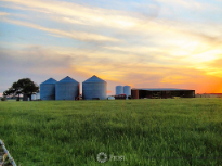 Fields Of Prosper