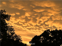 Mammatus Clouds After the Storm