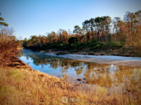 Autumn On Spring Creek