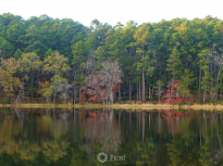 Dangerfield State Park Lake