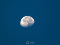 Daytime Moon