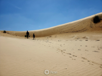 Monahans State Park