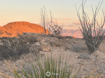 Chisos Mountain View