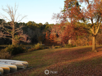 Canoes In the Fall