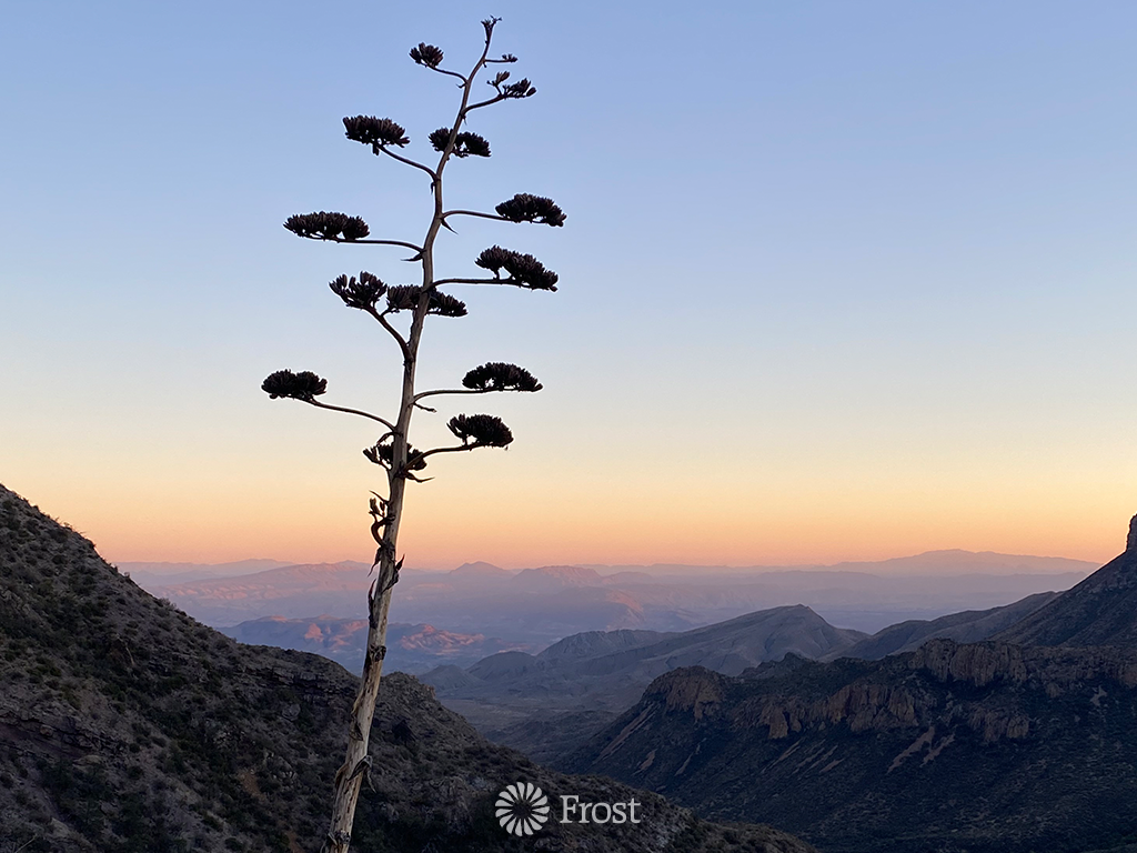 Sunset In Big Bend