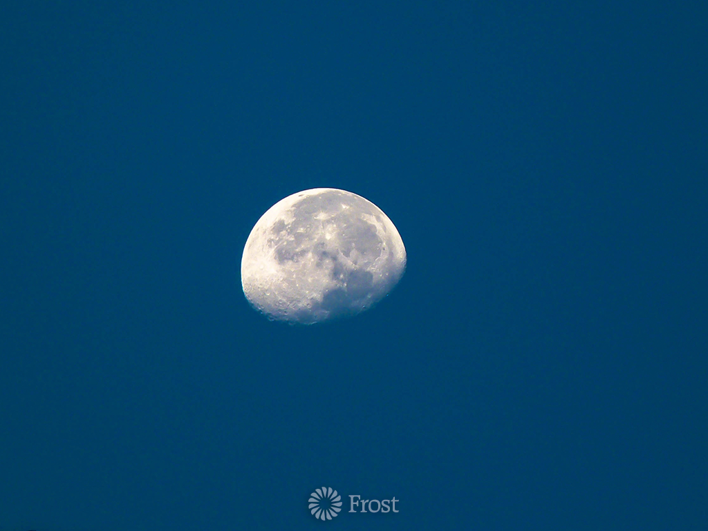 Daytime Moon