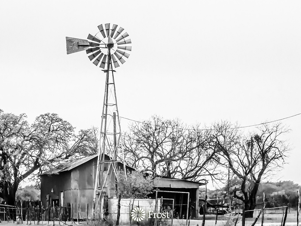 Willow City Loop