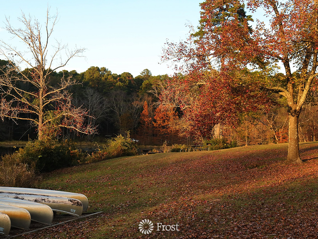 Canoes In the Fall