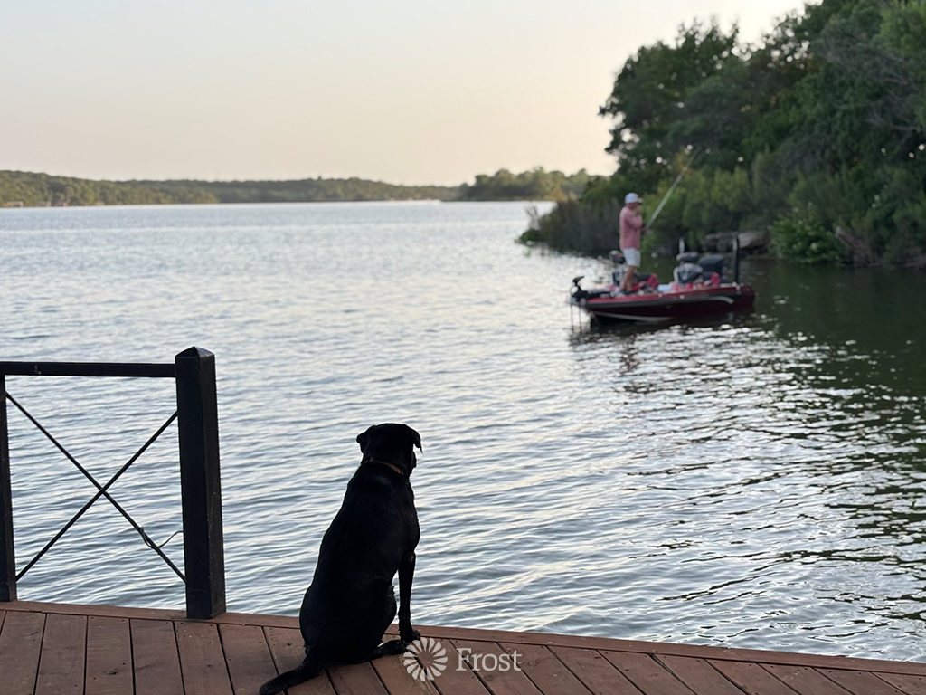 Labrador And Fisherman At Sunset